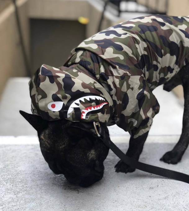 Dog Waterproof Jacket for Pets